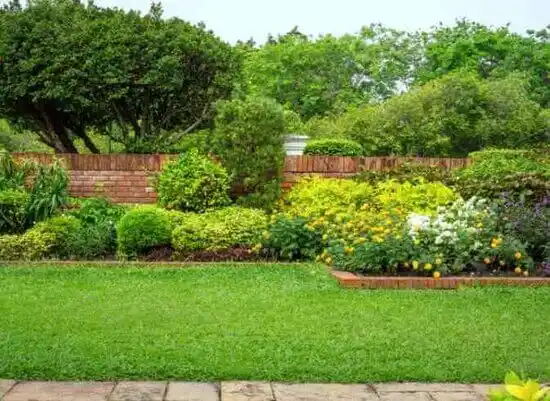 landscaping services Millers Creek